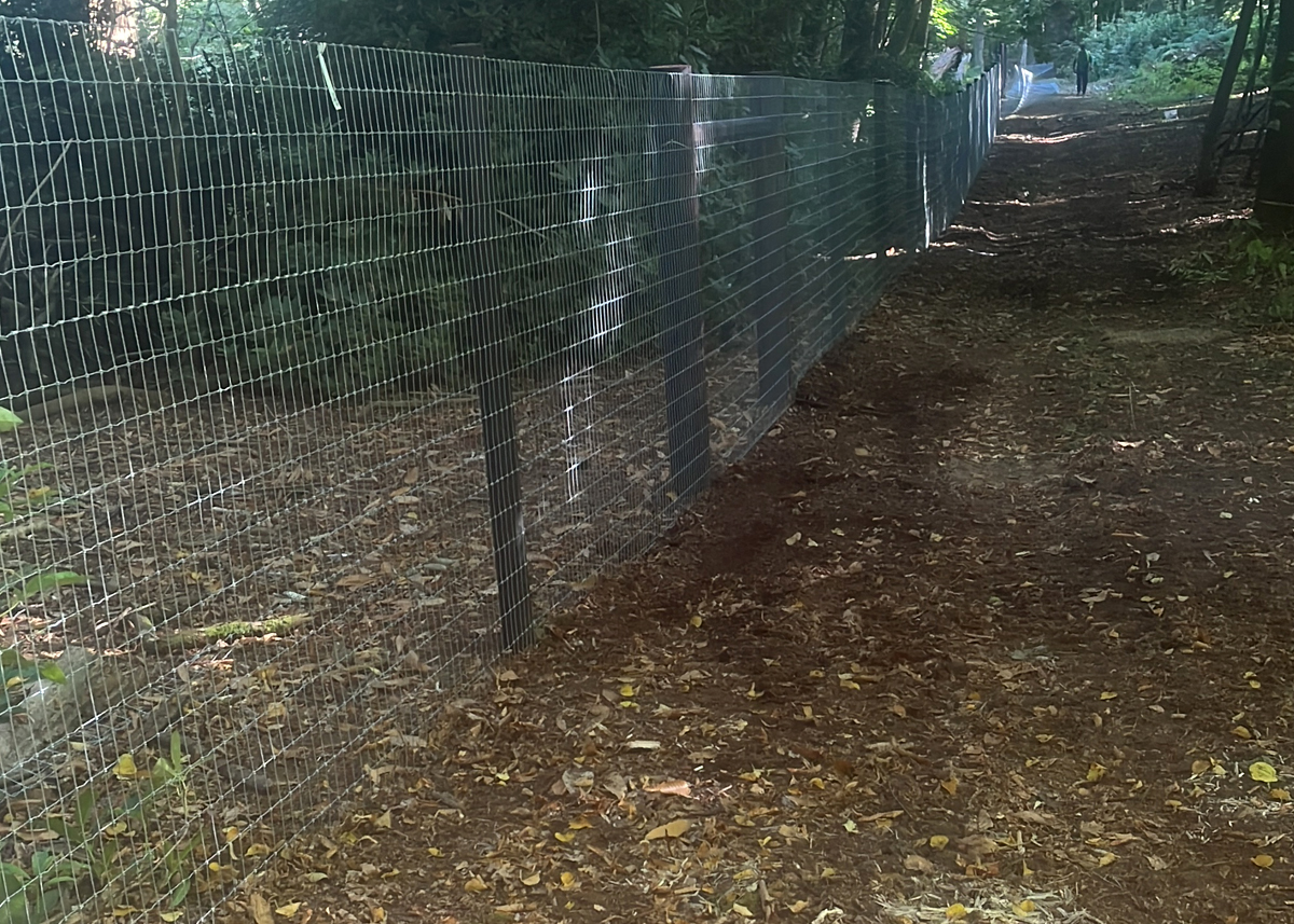Post and Wire Fencing UK. Post and Wire Equestrian Fencing UK