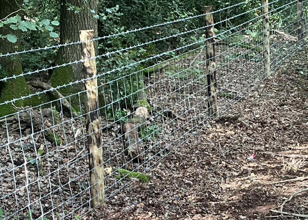 Post and Wire Equestrian Fencing Services UK. Best Equestrian fencing in UK.